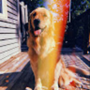 Meet your Posher, Alida